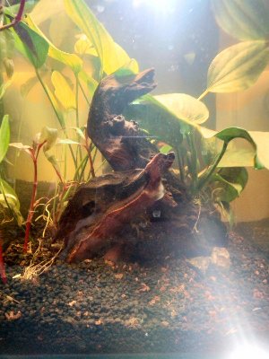 19687_5e3992a85f43e.jpg 900X1200 px
