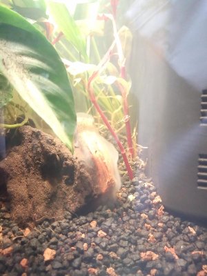 19687_5e3992c79fd0b.jpg 900X1200 px