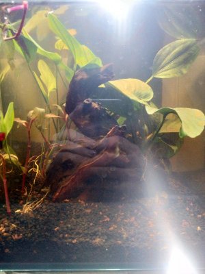 19687_5e399324b3b4c.jpg 900X1200 px