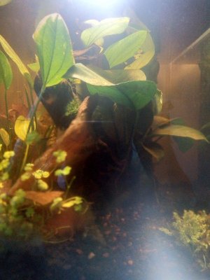 19687_5e496d92105a8.jpg 900X1200 px