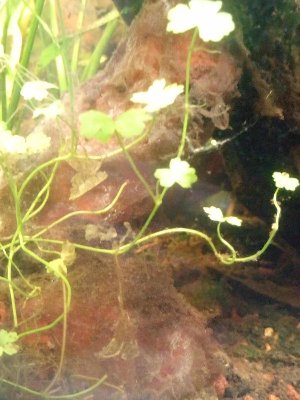 19687_5e5d6418bec72.jpg 900X1200 px