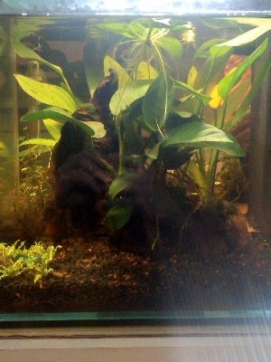 19687_5e5d643ab9f29.jpg 900X1200 px