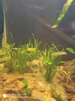 19687_5ebd518468664.jpg 900X1200 px