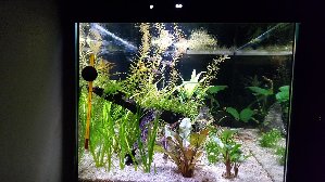 19721_5e64092bd1b0e.jpg 1600X900 px