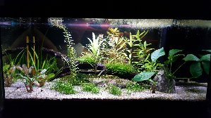 19721_5e78fb1ec1cfe.jpg 1600X900 px