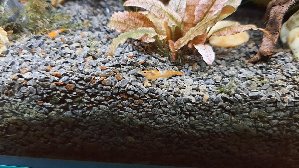 19721_61896d50c1ce6.jpg 1600X900 px