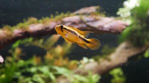 19721_632a1be61d65c.jpg 1600X900 px