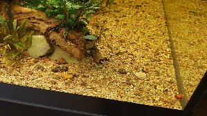 19721_63ed4ab27fcfb.jpg 1600X900 px