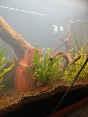 19794_5e6a70617f9e4.jpg 900X1200 px