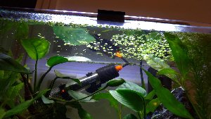19800_5e6ec3b8d4387.jpg 1600X902 px