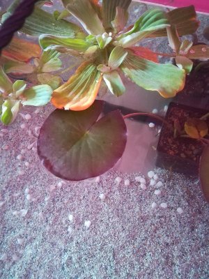 19819_5ee89891e7117.jpg 900X1200 px