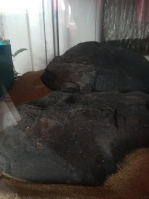 19819_5ee8cf80296d5.jpg 900X1200 px