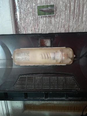 19819_5ee9038bf05f4.jpg 900X1200 px