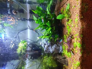 19824_5e83a02bb194c.jpg 1598X1200 px