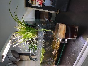19824_5e83a05cd4117.jpg 1600X1200 px