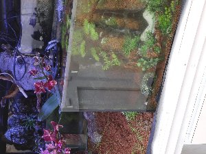 19824_5f359b4553c87.jpg 1600X1200 px