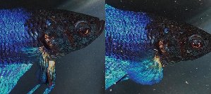 19841_5e75044eb2509.jpg 1600X716 px
