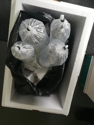 19907_5ee9de47a5aac.jpg 900X1200 px