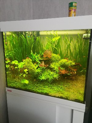19907_5f7f01de19cb9.jpg 900X1200 px