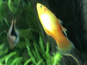 19922_5fd29798491c0.jpg 1600X1200 px