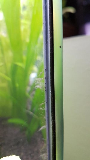 20001_5fc7dd61e3e99.jpg 675X1200 px