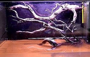 20046_5eadf728ef95c.jpg 317X200 px