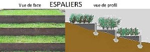 20046_5eaeceb5ca4f7.jpg 570X200 px