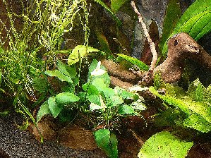 20046_5ec7d0d89a3e9.jpg 1067X800 px