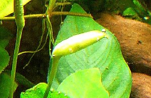 20046_5ec7d13d67616.jpg 547X355 px