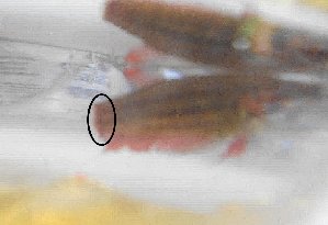 20046_5ece8a43c20bf.jpg 1145X785 px