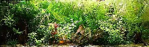 20046_5f0def7b773b4.jpg 1019X324 px