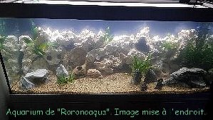 20046_5f2374ea52428.jpg 623X350 px