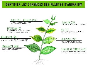 20046_5f2ab368e85ce.jpg 962X712 px