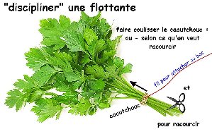 20046_5f32e74cf3b78.jpg 1023X650 px