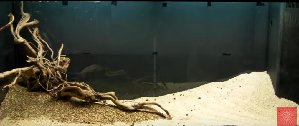 20046_5f4829afdd2db.jpg 1015X428 px