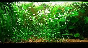 20046_5fe375b061bc0.jpg 606X331 px