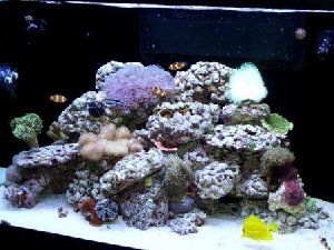 2011_4a34e634e7feb.jpg 300X225 px
