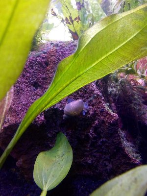 20122_5f129c2c483c4.jpg 900X1200 px