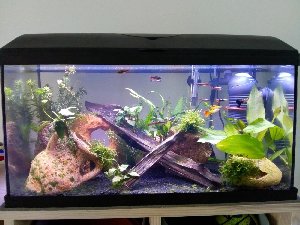 20122_5f15cb59ac1b6.jpg 1600X1200 px