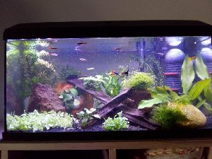 20122_5f245cd2a1fe8.jpg 1600X1200 px