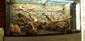 20133_5ede1c029d944.jpg 1600X778 px