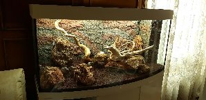 20133_5ede1c9ebfd4e.jpg 1600X778 px
