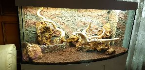 20133_5ede8b1d9dd81.jpg 1600X778 px