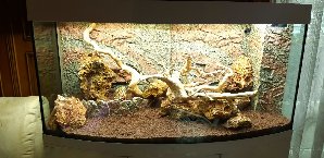 20133_5ede8b2b56be8.jpg 1600X778 px