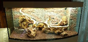 20133_5ede8e2516b05.jpg 1600X778 px