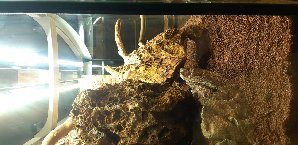 20133_5edebc73e6427.jpg 1600X778 px