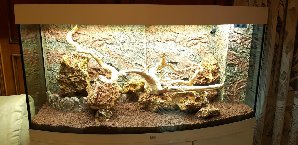 20133_5edebca478a90.jpg 1600X778 px