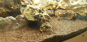 20133_5edec3f6168aa.jpg 1600X778 px