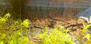 20133_5f16d61a8af78.jpg 1600X778 px