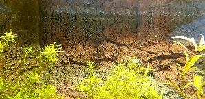 20133_5f16d64445ffe.jpg 1600X778 px